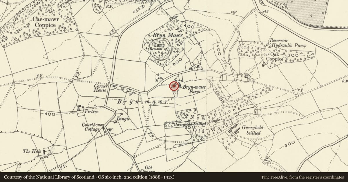 Ordnance Survey six-inch map, 2nd edition (1888–1913) covering the location of Bryn Mawr, Llandysilio, Powys, with a pin at the register's coordinates