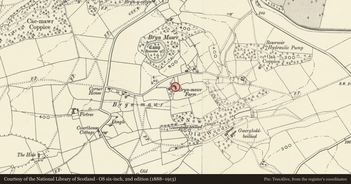Ordnance Survey six-inch map, 2nd edition (1888–1913) covering the location of Barn to East of Bryn Mawr, Llandysilio, Powys, with a pin at the register's coordinates