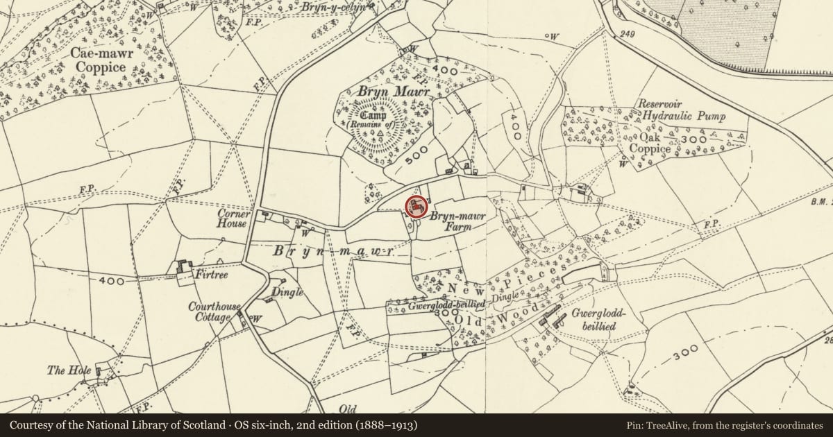 Ordnance Survey six-inch map, 2nd edition (1888–1913) covering the location of Cowsheds, Granary & Milking Parlour (Old Stables) at Bryn Mawr, Llandysilio, Powys, with a pin at the register's coordinates