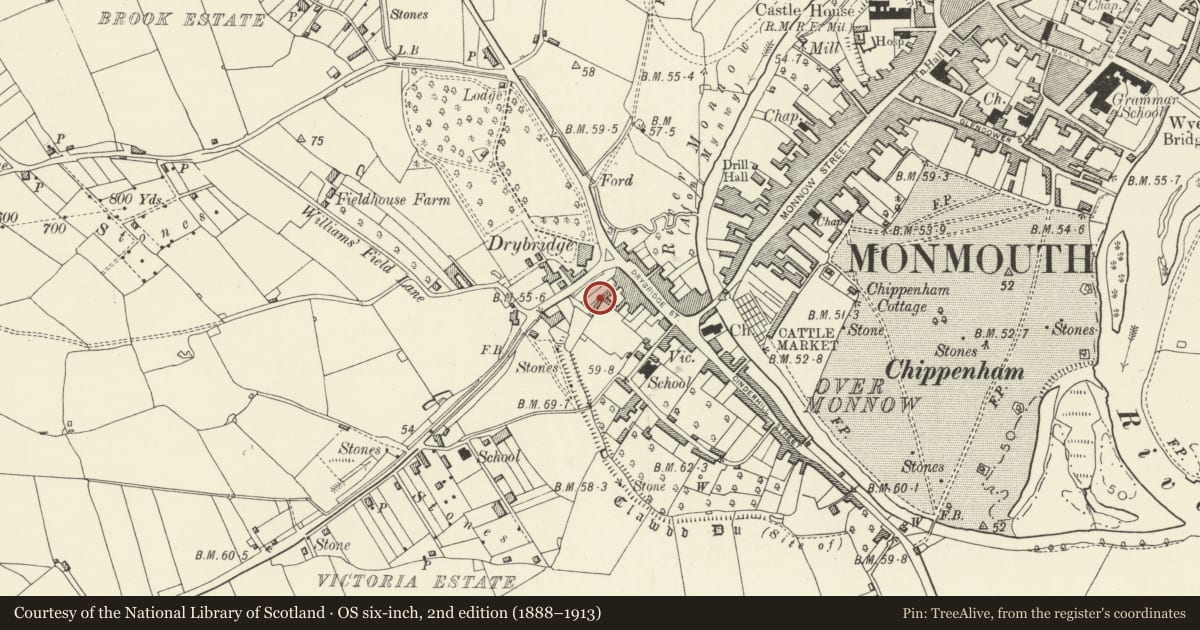 Ordnance Survey six-inch map, 2nd edition (1888–1913) covering the location of 7 Drybridge Terrace, Monmouth, Monmouthshire, with a pin at the register's coordinates