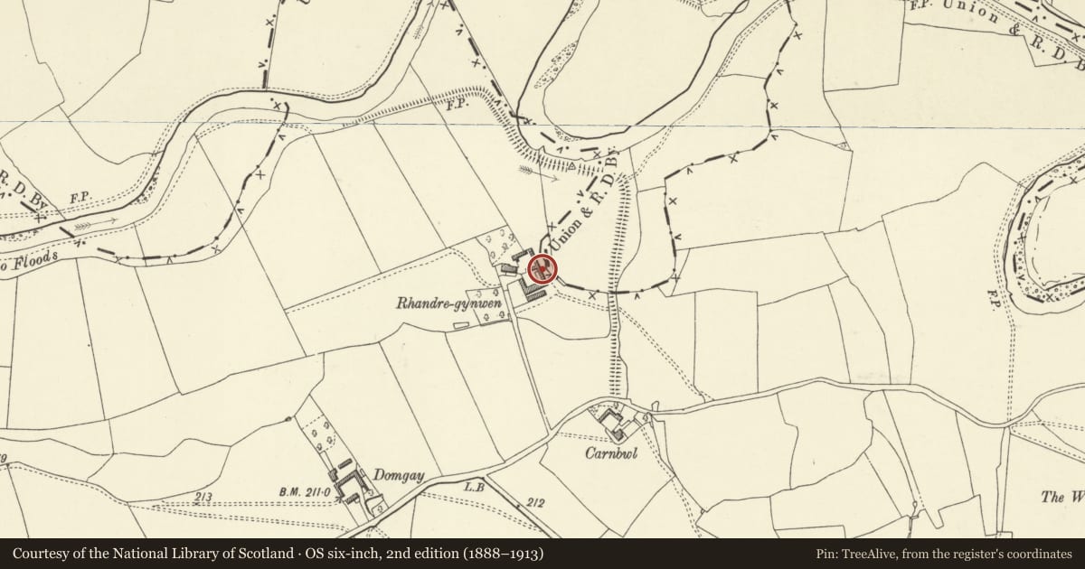 Ordnance Survey six-inch map, 2nd edition (1888–1913) covering the location of C-Plan Group of Farm Ranges to E.of Rhandregynwen, Llandysilio, Powys, with a pin at the register's coordinates