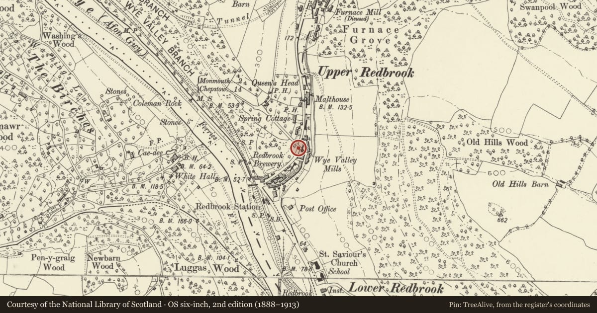 Ordnance Survey six-inch map, 2nd edition (1888–1913) covering the location of Redbrook Incline Bridge over B4231, Monmouth, Monmouthshire, with a pin at the register's coordinates