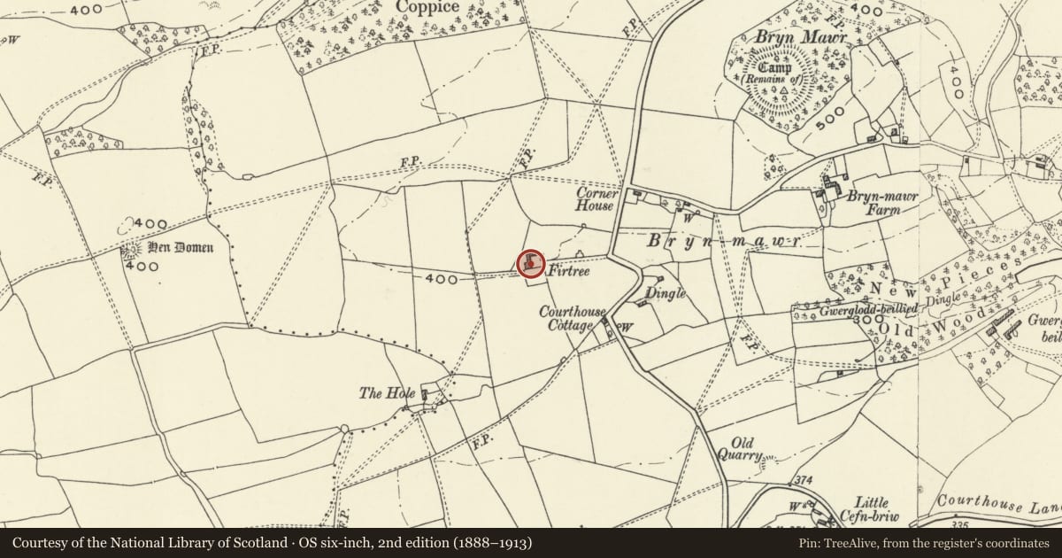 Ordnance Survey six-inch map, 2nd edition (1888–1913) covering the location of Fir Tree, Llandysilio, Powys, with a pin at the register's coordinates