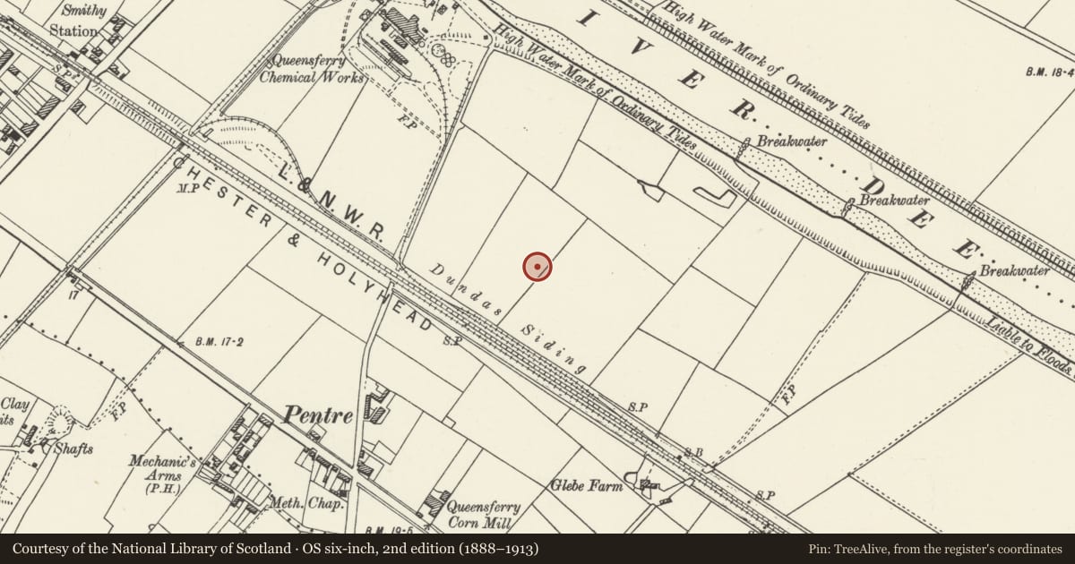 Ordnance Survey six-inch map, 2nd edition (1888–1913) covering the location of Former Willans & Robinson Factory, Central Block, Queensferry, Flintshire, with a pin at the register's coordinates