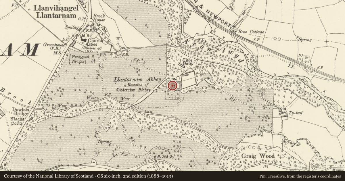 Ordnance Survey six-inch map, 2nd edition (1888–1913) covering the location of Llantarnam Abbey, Torfaen, with a pin at the register's coordinates
