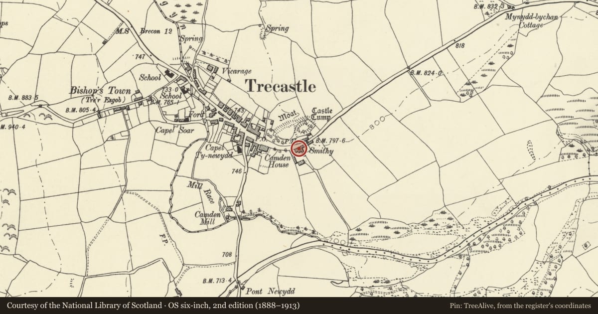 Ordnance Survey six-inch map, 2nd edition (1888–1913) covering the location of Barn at Neuadd Farm, Llywel, Powys, with a pin at the register's coordinates
