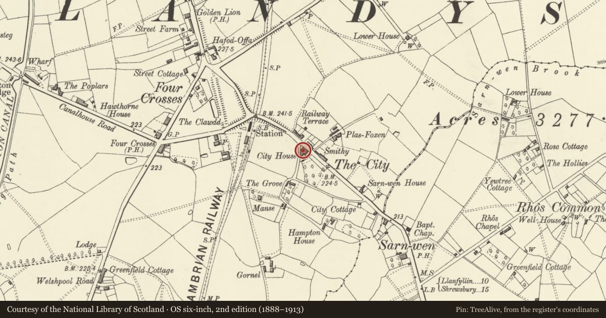 Ordnance Survey six-inch map, 2nd edition (1888–1913) covering the location of The Post Office, Llandysilio, Powys, with a pin at the register's coordinates