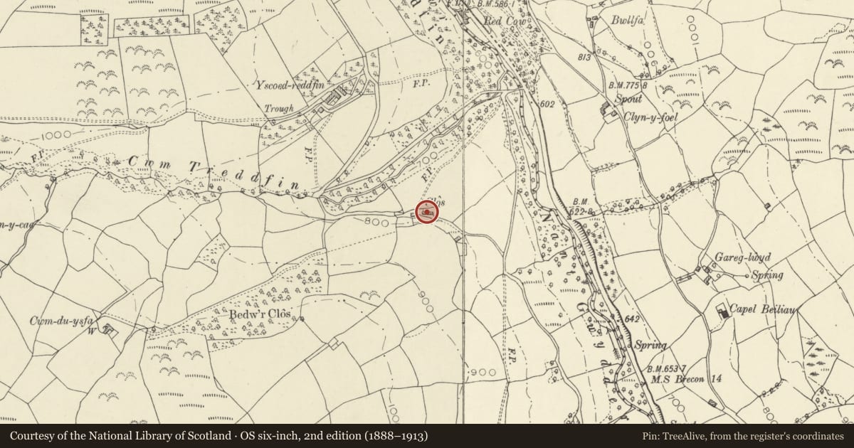 Ordnance Survey six-inch map, 2nd edition (1888–1913) covering the location of Clos, Llywel, Powys, with a pin at the register's coordinates