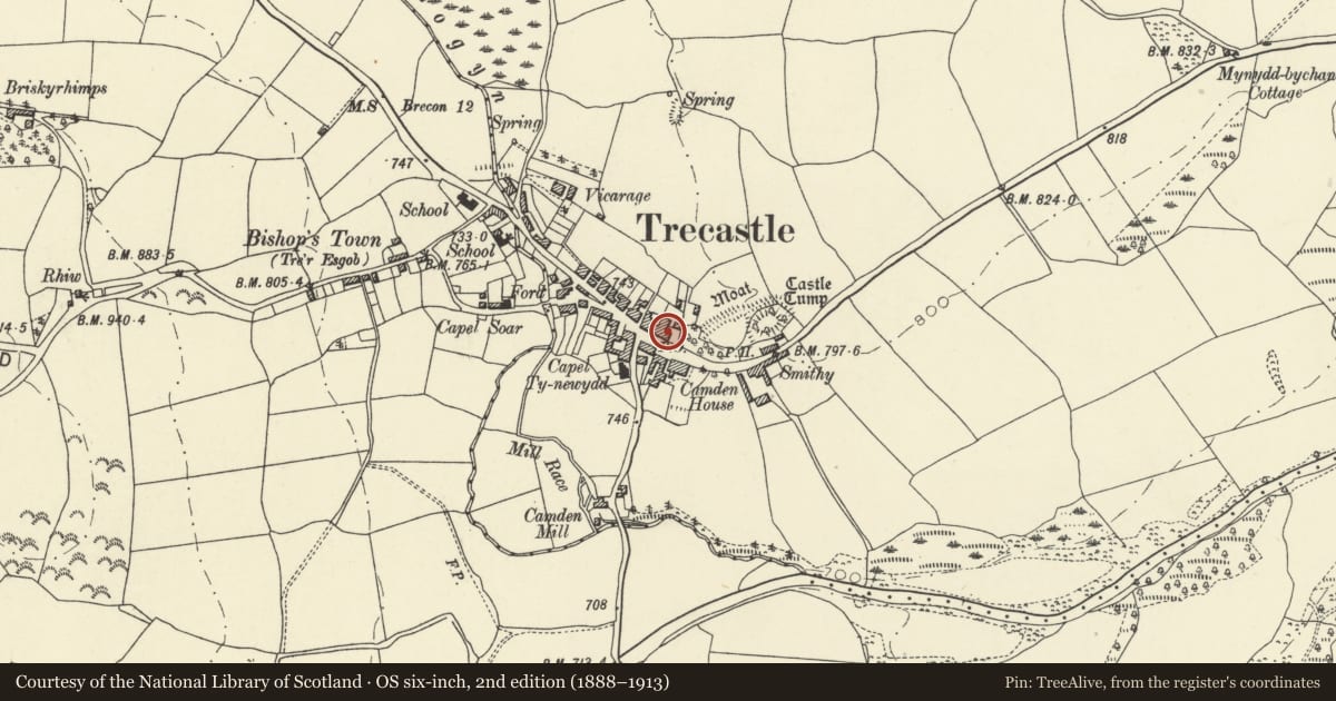 Ordnance Survey six-inch map, 2nd edition (1888–1913) covering the location of Danycoed and front garden railings, Llywel, Powys, with a pin at the register's coordinates