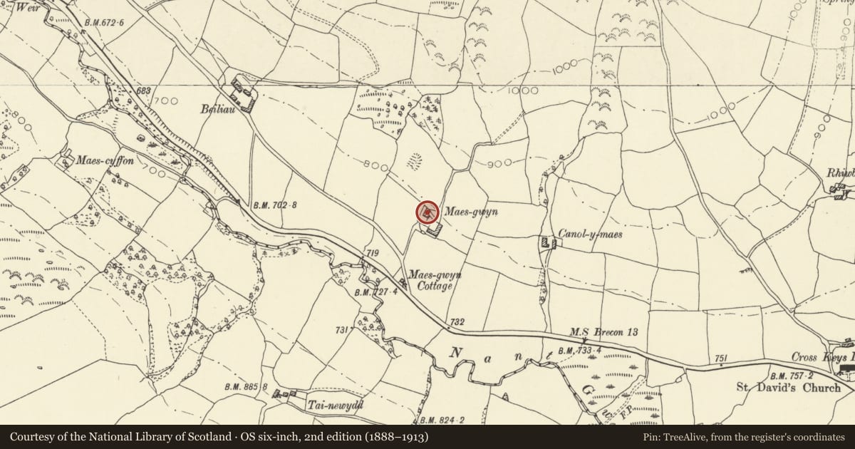 Ordnance Survey six-inch map, 2nd edition (1888–1913) covering the location of Maesgwyn, Llywel, Powys, with a pin at the register's coordinates