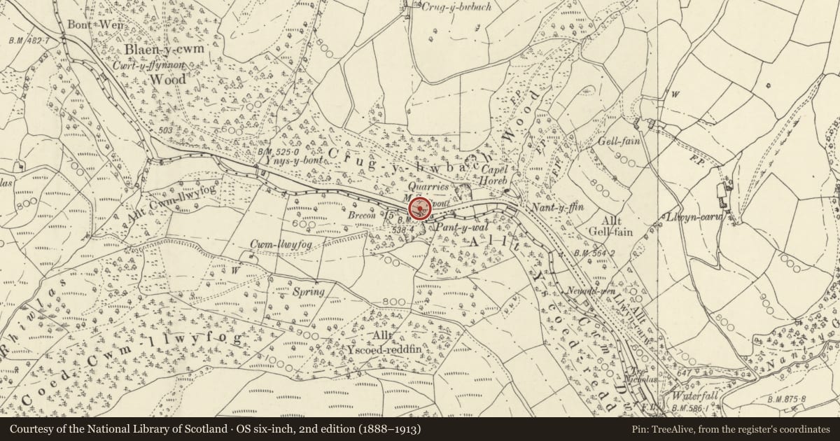 Ordnance Survey six-inch map, 2nd edition (1888–1913) covering the location of Milestone on A40 E of Halfway, Llywel, Powys, with a pin at the register's coordinates