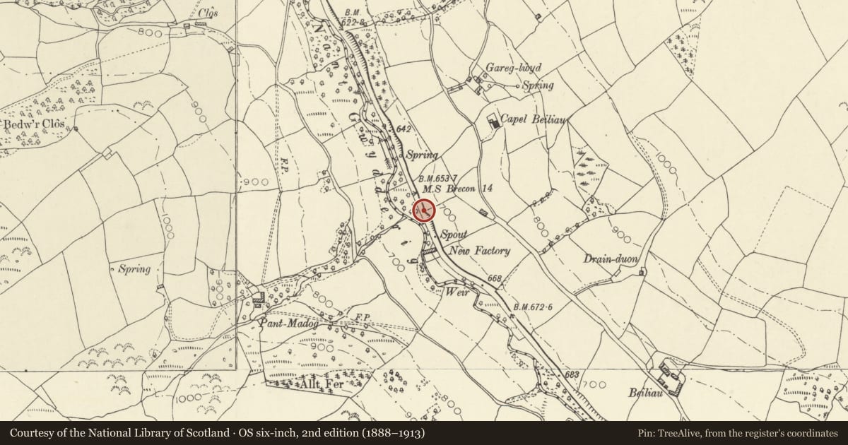 Ordnance Survey six-inch map, 2nd edition (1888–1913) covering the location of Milestone on A40 W of Llywel, Powys, with a pin at the register's coordinates