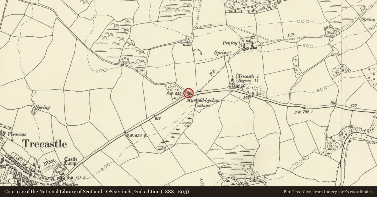 Ordnance Survey six-inch map, 2nd edition (1888–1913) covering the location of Mynydd Bychan Cottage, Llywel, Powys, with a pin at the register's coordinates