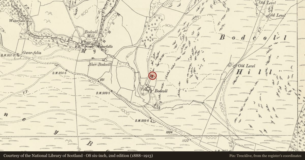 Ordnance Survey six-inch map, 2nd edition (1888–1913) covering the location of Bodcoll, Pontarfynach, Ceredigion, with a pin at the register's coordinates