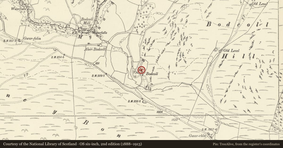 Ordnance Survey six-inch map, 2nd edition (1888–1913) covering the location of Former corn barn and stable at Bodcoll, Pontarfynach, Ceredigion, with a pin at the register's coordinates