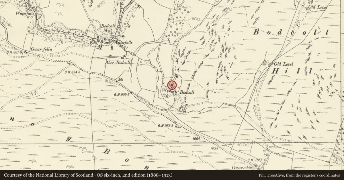 Ordnance Survey six-inch map, 2nd edition (1888–1913) covering the location of Pigsties at Bodcoll, Pontarfynach, Ceredigion, with a pin at the register's coordinates