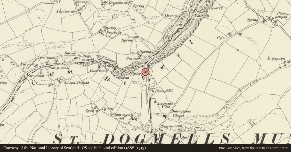Ordnance Survey six-inch map, 2nd edition (1888–1913) covering the location of Blaenwaun Baptismal Pool, St. Dogmaels, Pembrokeshire, with a pin at the register's coordinates