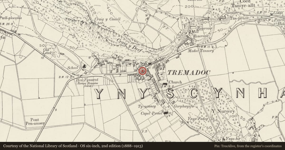 Ordnance Survey six-inch map, 2nd edition (1888–1913) covering the location of 17 Heol Dulyn (Dublin Street), Porthmadog, Gwynedd, with a pin at the register's coordinates