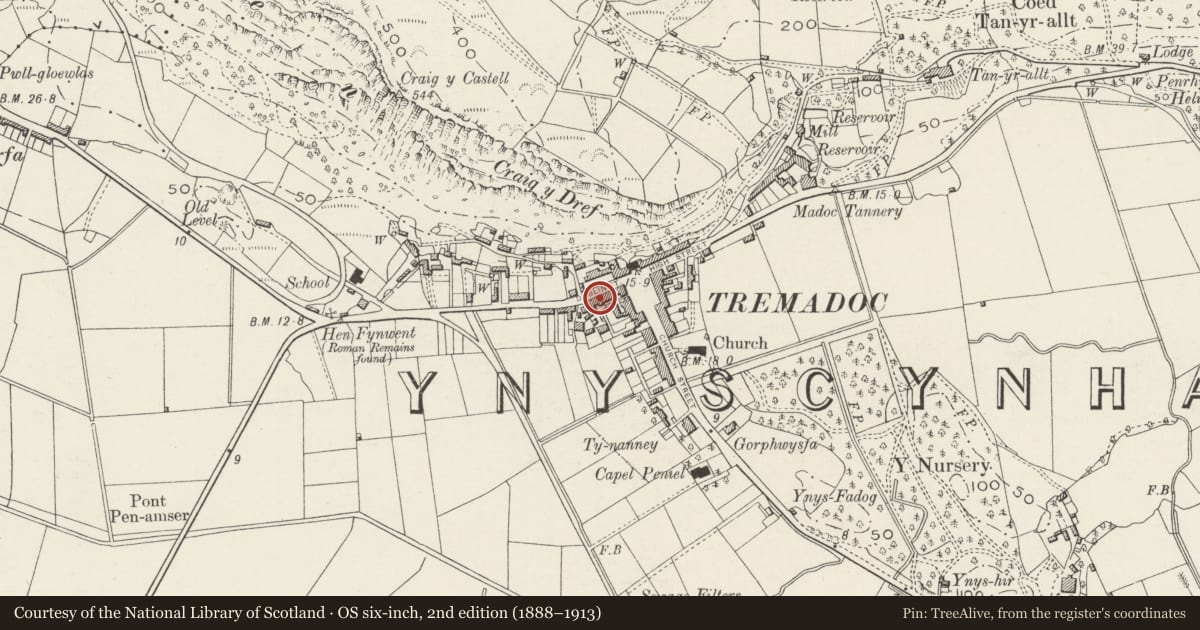 Ordnance Survey six-inch map, 2nd edition (1888–1913) covering the location of 19 Heol Dulyn (Dublin Street), Porthmadog, Gwynedd, with a pin at the register's coordinates