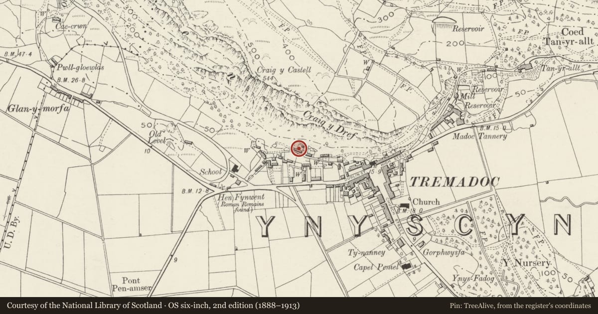 Ordnance Survey six-inch map, 2nd edition (1888–1913) covering the location of 19 Y Graig (Sunnyside), Porthmadog, Gwynedd, with a pin at the register's coordinates