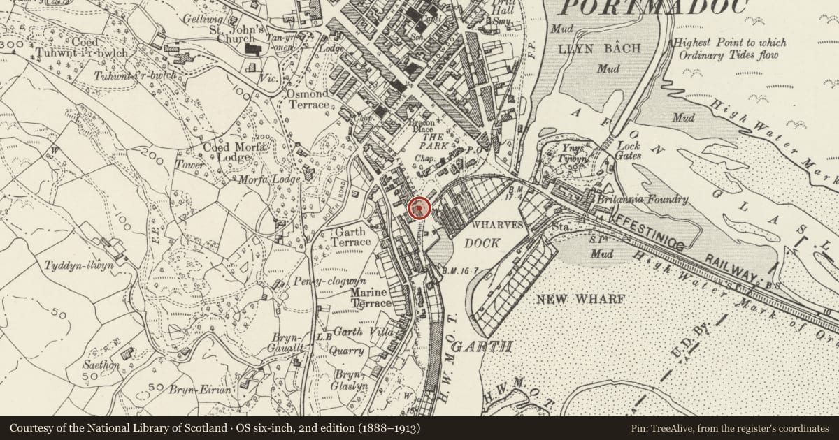 Ordnance Survey six-inch map, 2nd edition (1888–1913) covering the location of Awelfor, Porthmadog, Gwynedd, with a pin at the register's coordinates