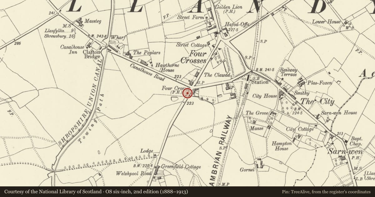 Ordnance Survey six-inch map, 2nd edition (1888–1913) covering the location of War Memorial, Llandysilio, Powys, with a pin at the register's coordinates