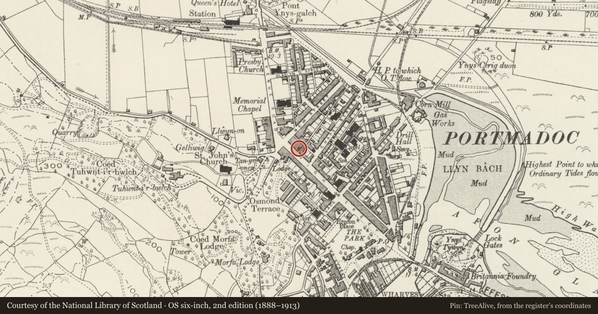 Ordnance Survey six-inch map, 2nd edition (1888–1913) covering the location of Twb Lemon (Lemon Tub) and house/office, Porthmadog, Gwynedd, with a pin at the register's coordinates