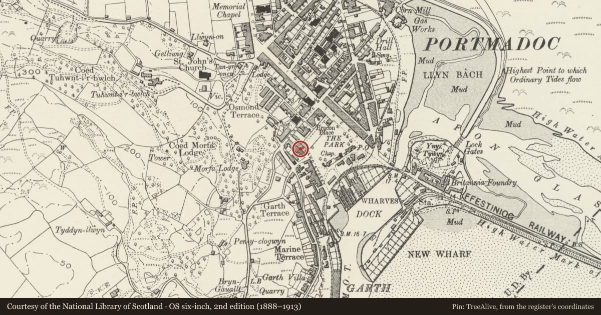 Ordnance Survey six-inch map, 2nd edition (1888–1913) covering the location of Bee-hive Establishment (Tom Parry & Co), Porthmadog, Gwynedd, with a pin at the register's coordinates