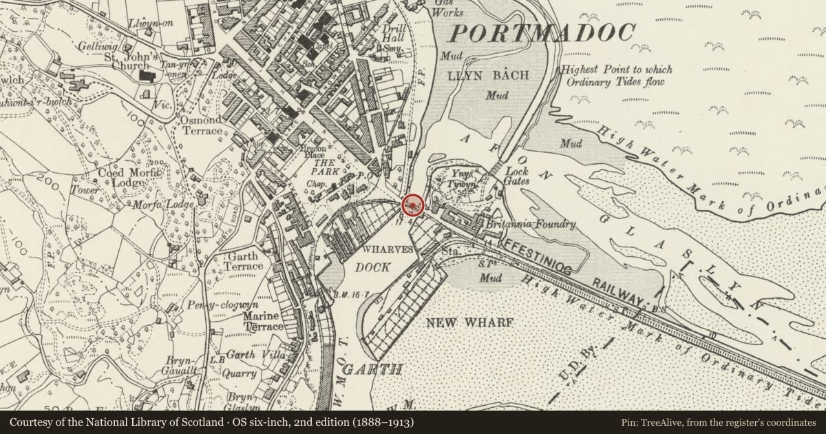 Ordnance Survey six-inch map, 2nd edition (1888–1913) covering the location of Britannia Bridge, Porthmadog, Gwynedd, with a pin at the register's coordinates
