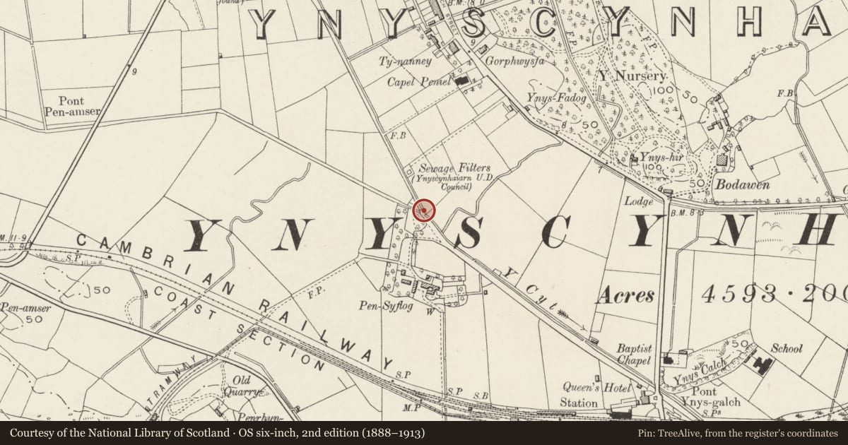 Ordnance Survey six-inch map, 2nd edition (1888–1913) covering the location of Former Tremadoc Tramway bridge over drainage ditch, Porthmadog, Gwynedd, with a pin at the register's coordinates