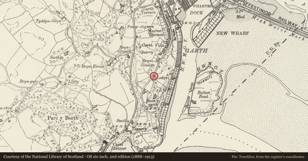 Ordnance Survey six-inch map, 2nd edition (1888–1913) covering the location of Gate piers, gates and wall at entrance to Bron-y-Garth, Porthmadog, Gwynedd, with a pin at the register's coordinates