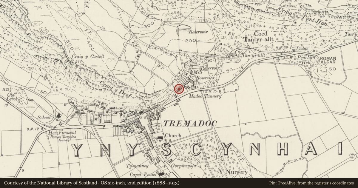 Ordnance Survey six-inch map, 2nd edition (1888–1913) covering the location of Ivy Cottage, Porthmadog, Gwynedd, with a pin at the register's coordinates