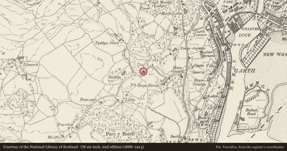 Ordnance Survey six-inch map, 2nd edition (1888–1913) covering the location of Llwyn Derw, Porthmadog, Gwynedd, with a pin at the register's coordinates