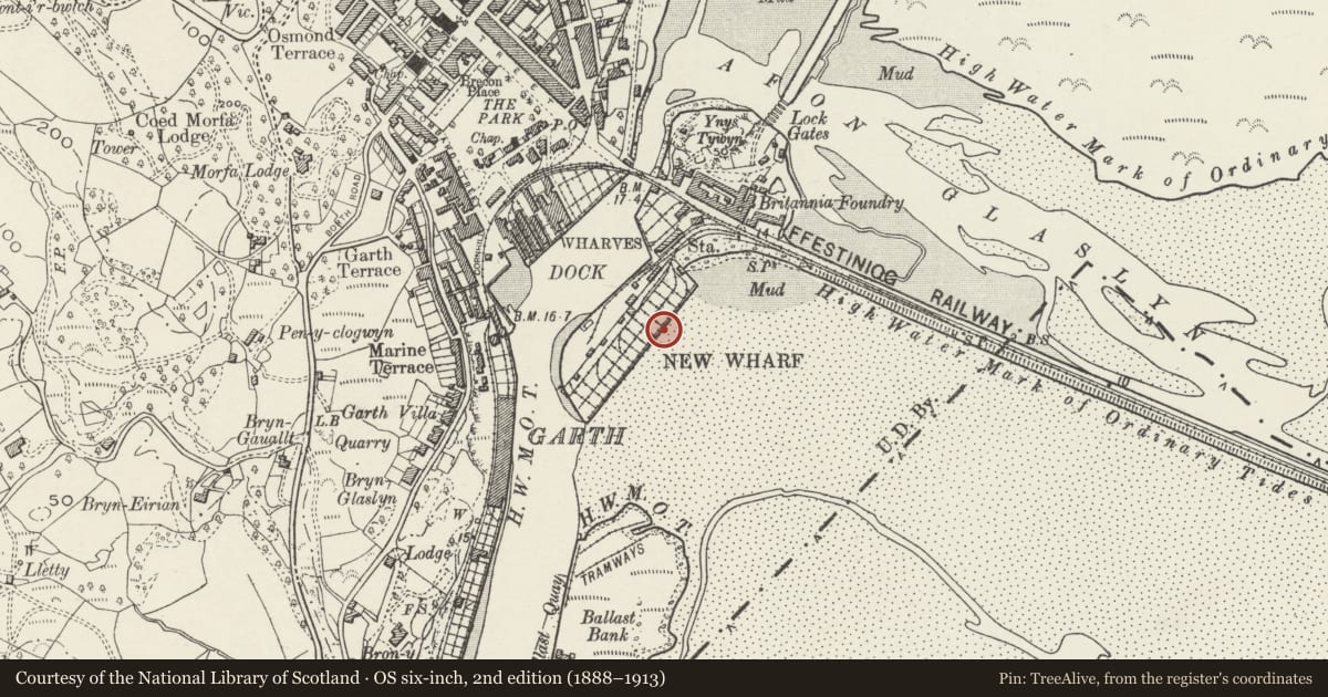 Ordnance Survey six-inch map, 2nd edition (1888–1913) covering the location of New Wharf, Porthmadog, Gwynedd, with a pin at the register's coordinates