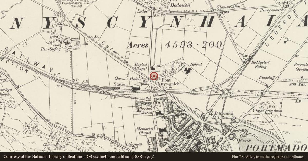 Ordnance Survey six-inch map, 2nd edition (1888–1913) covering the location of Porthmadog war memorial, including steps, trilithon and monoliths forming its approach, Gwynedd, with a pin at the register's coordinates