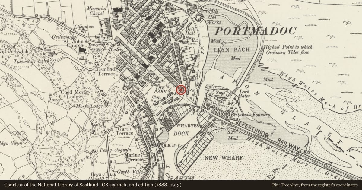 Ordnance Survey six-inch map, 2nd edition (1888–1913) covering the location of Shop and Dunn & Ellis Accountants, Porthmadog, Gwynedd, with a pin at the register's coordinates