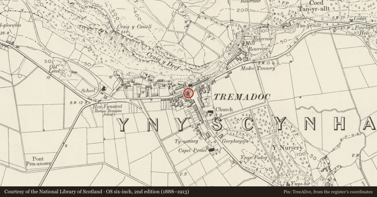 Ordnance Survey six-inch map, 2nd edition (1888–1913) covering the location of Taleifion, Porthmadog, Gwynedd, with a pin at the register's coordinates