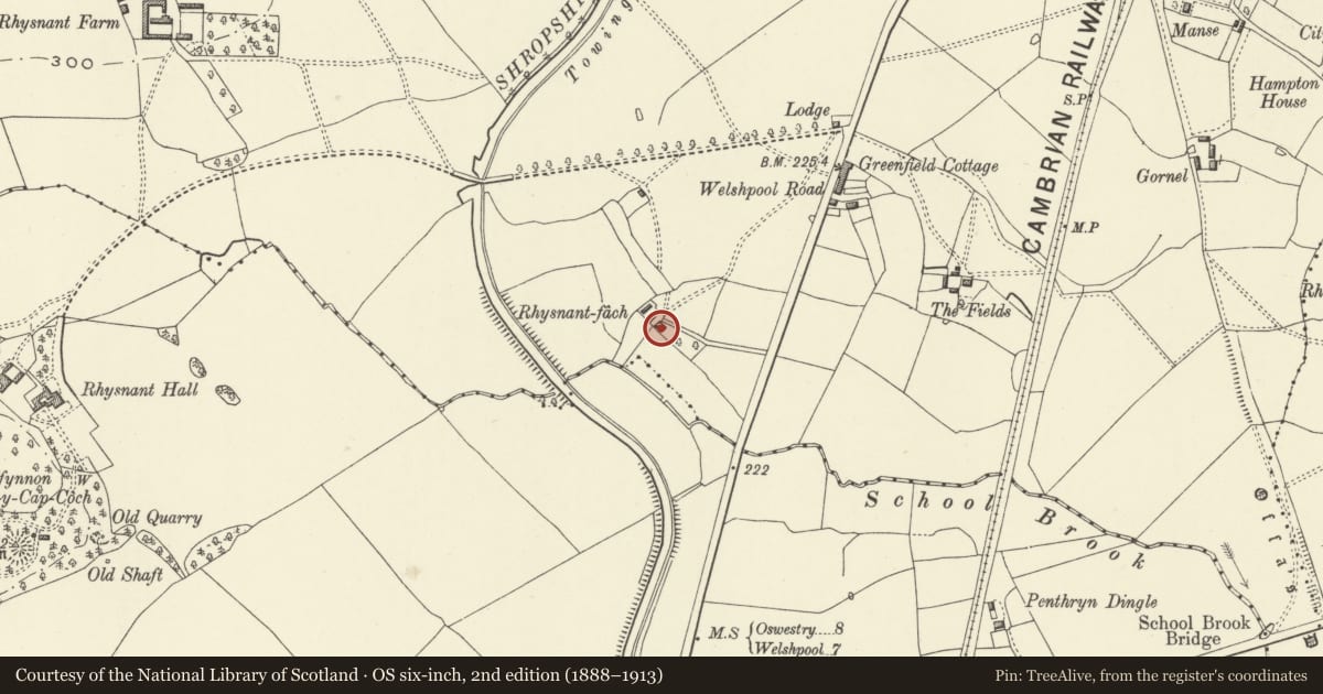 Ordnance Survey six-inch map, 2nd edition (1888–1913) covering the location of Rhysnant Fach, Llandysilio, Powys, with a pin at the register's coordinates