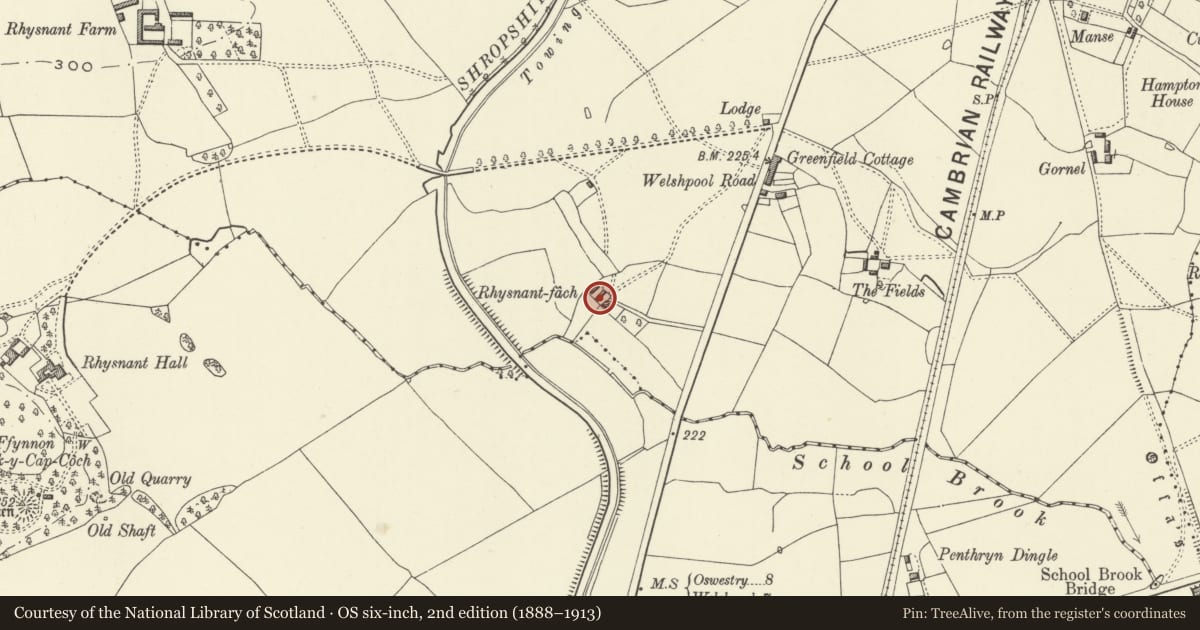 Ordnance Survey six-inch map, 2nd edition (1888–1913) covering the location of Outbuilding Range to W of Rhysnant Fach, Llandysilio, Powys, with a pin at the register's coordinates