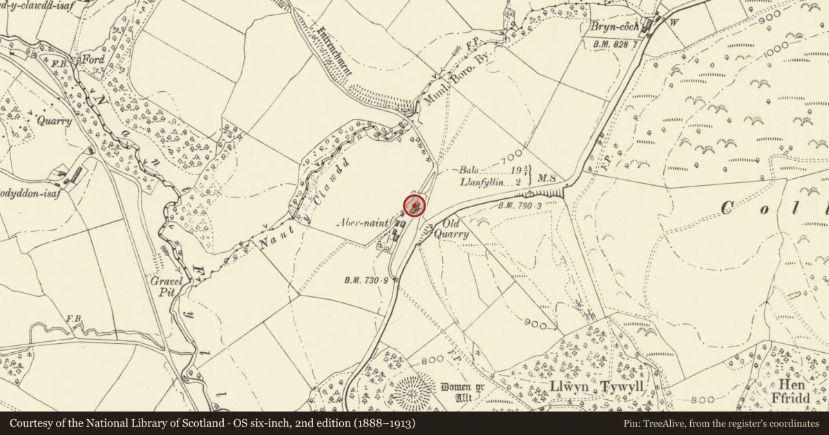 Ordnance Survey six-inch map, 2nd edition (1888–1913) covering the location of Abernaint, Llanfyllin, Powys, with a pin at the register's coordinates
