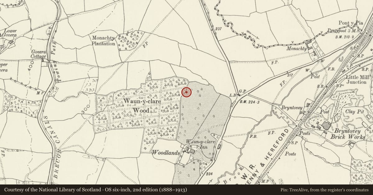 Ordnance Survey six-inch map, 2nd edition (1888–1913) covering the location of Former Nylon Spinners Factory, New Inn, Torfaen, with a pin at the register's coordinates