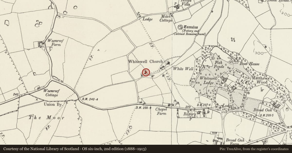 Ordnance Survey six-inch map, 2nd edition (1888–1913) covering the location of Church Holding, Bronington, Wrexham, with a pin at the register's coordinates