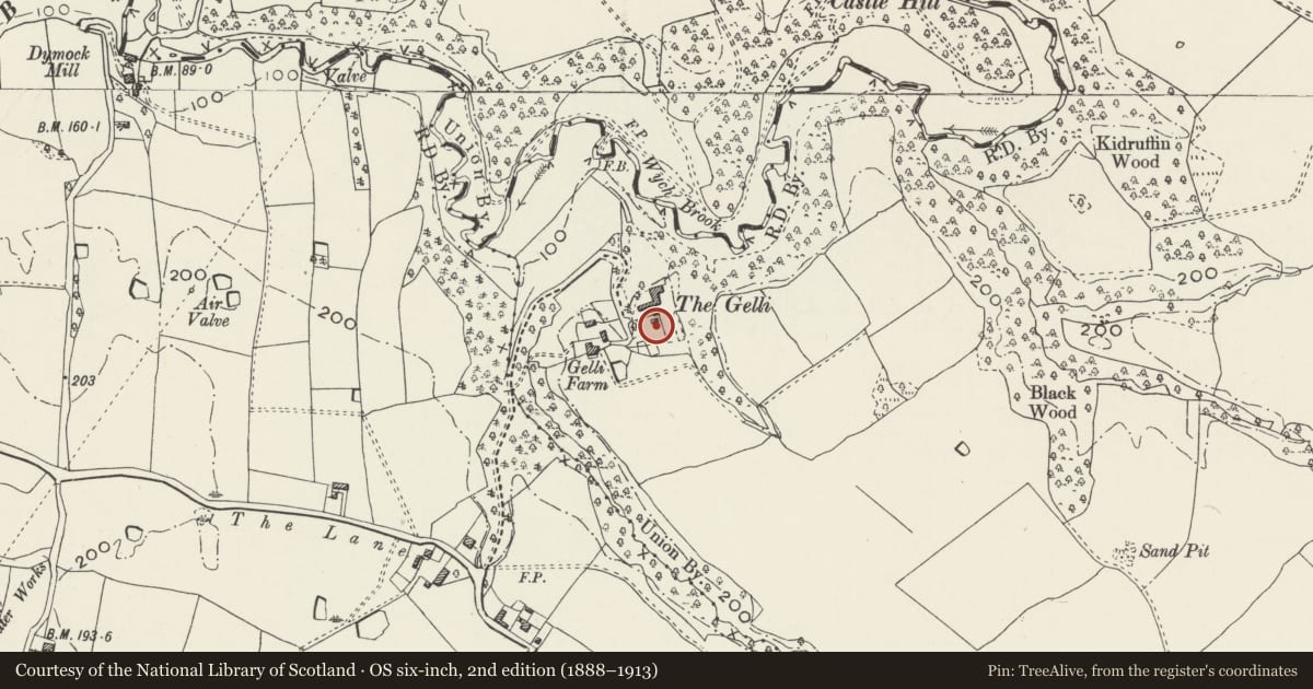 Ordnance Survey six-inch map, 2nd edition (1888–1913) covering the location of Garden walls and bothy at The Gelli, Bronington, Wrexham, with a pin at the register's coordinates