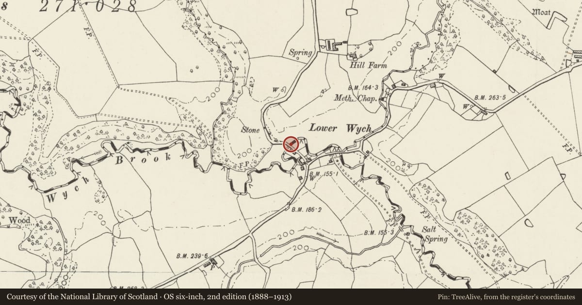 Ordnance Survey six-inch map, 2nd edition (1888–1913) covering the location of Lower Wych Bridge (partly in Wigland Civil Parish, Cheshire), Bronington, Wrexham, with a pin at the register's coordinates