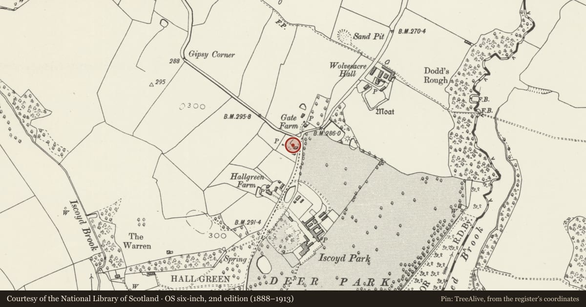 Ordnance Survey six-inch map, 2nd edition (1888–1913) covering the location of Shippon at Hall Green Holding, Bronington, Wrexham, with a pin at the register's coordinates