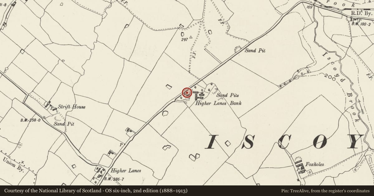 Ordnance Survey six-inch map, 2nd edition (1888–1913) covering the location of Ty bach at Higher Lanes Bank Farm, Bronington, Wrexham, with a pin at the register's coordinates