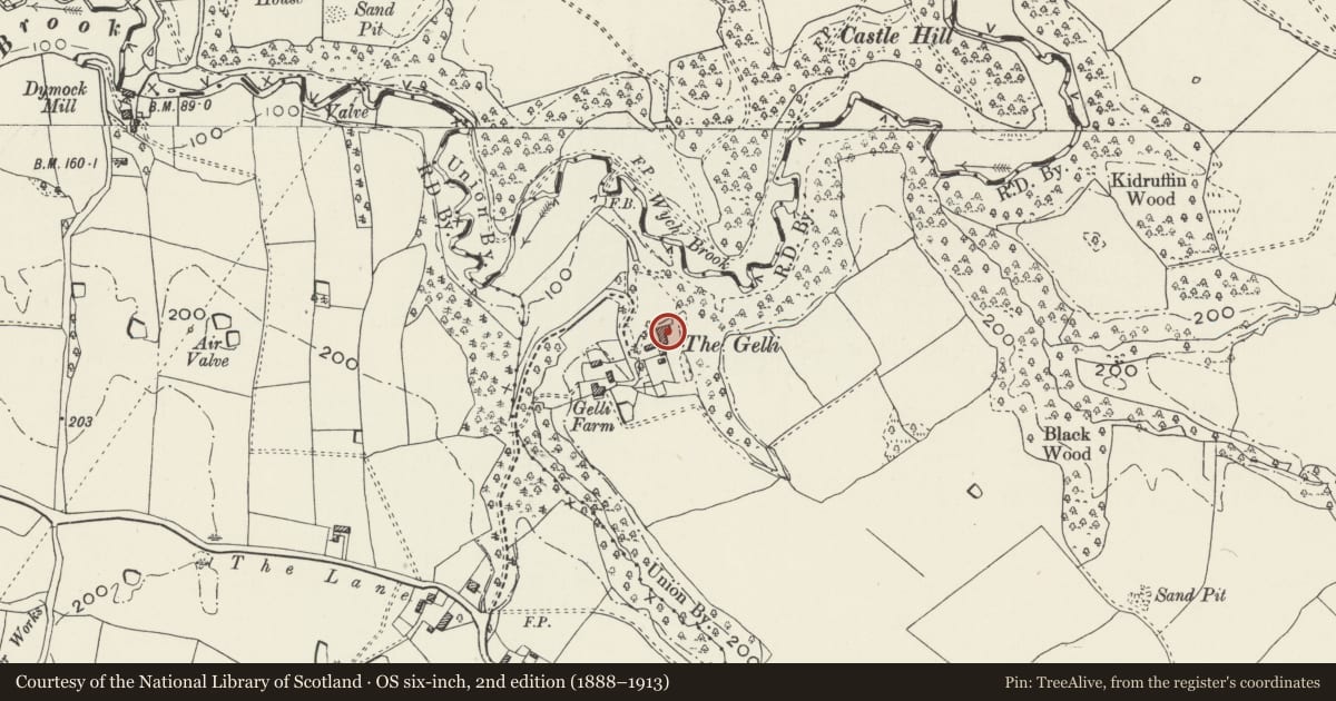 Ordnance Survey six-inch map, 2nd edition (1888–1913) covering the location of The Gelli, Bronington, Wrexham, with a pin at the register's coordinates