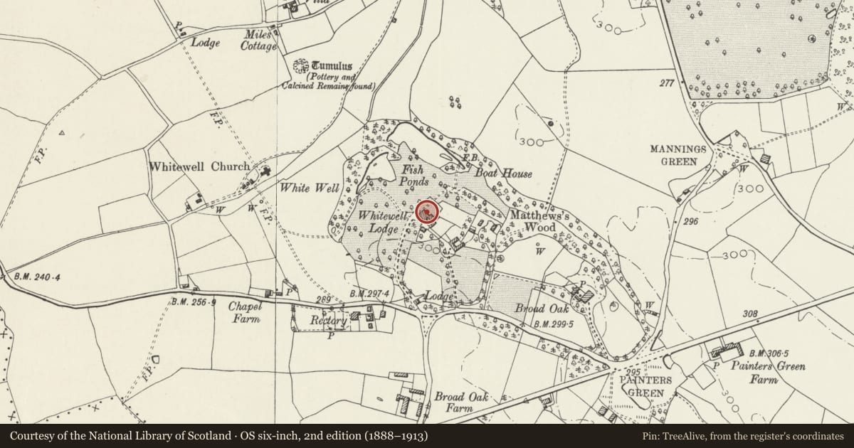 Ordnance Survey six-inch map, 2nd edition (1888–1913) covering the location of Whitewell Lodge, including arcaded screen to garden and wall to service yard, Bronington, Wrexham, with a pin at the register's coordinates