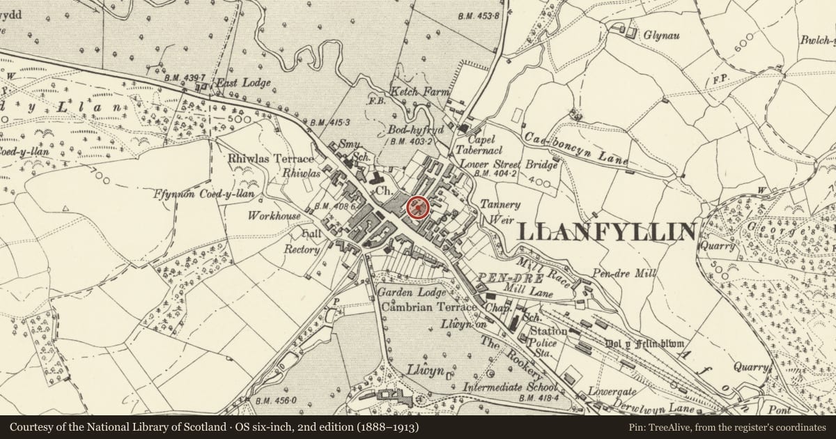 Ordnance Survey six-inch map, 2nd edition (1888–1913) covering the location of Melbourne House, Llanfyllin, Powys, with a pin at the register's coordinates