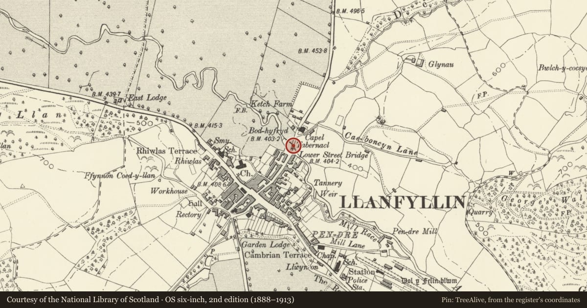 Ordnance Survey six-inch map, 2nd edition (1888–1913) covering the location of Bridge, Llanfyllin, Powys, with a pin at the register's coordinates